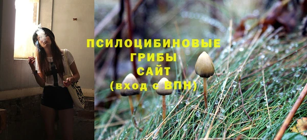 дмт Михайлов