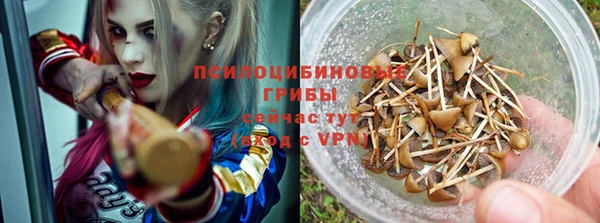 индика Арсеньев