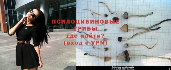 дмт Михайлов